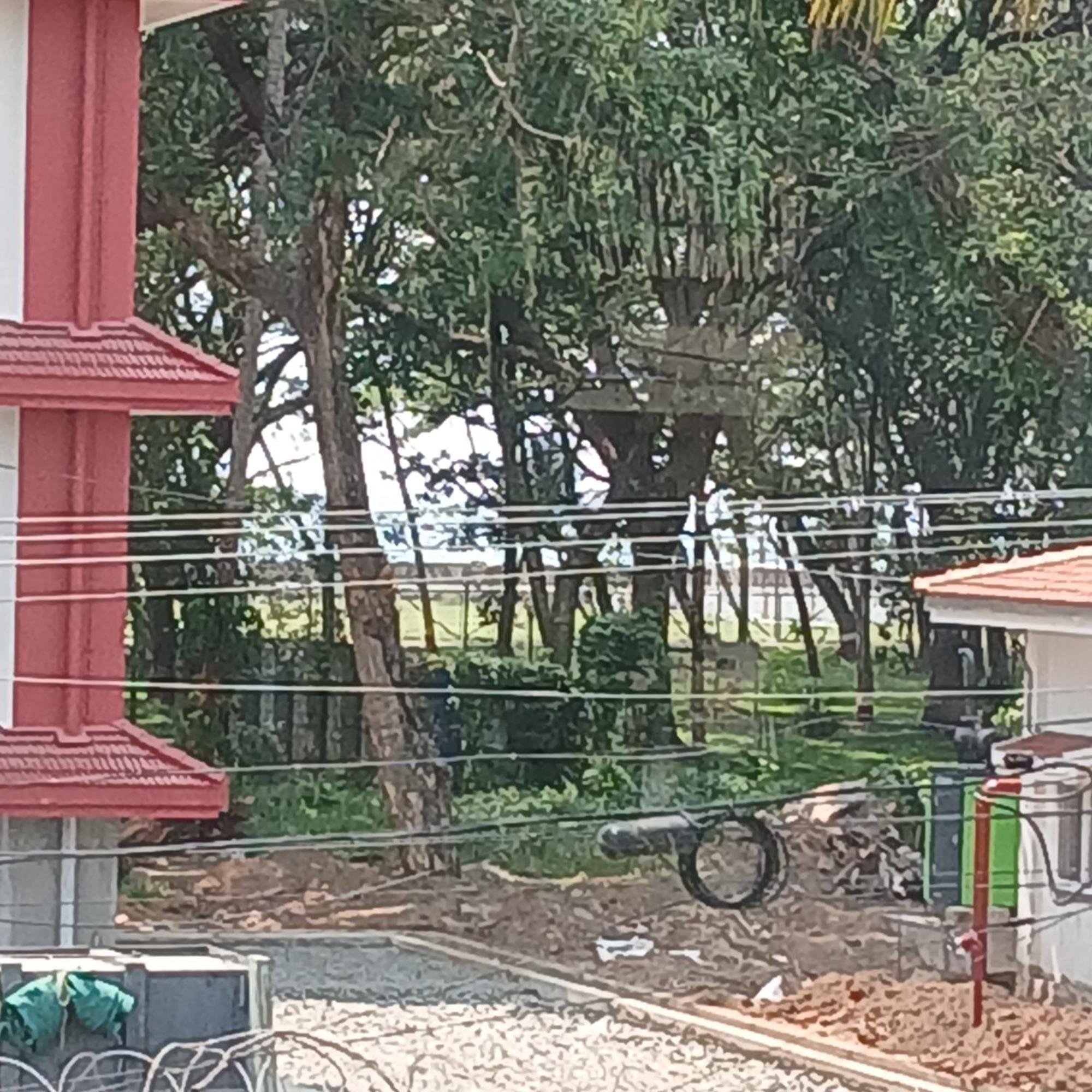 Annies Inn Homestay Kochi 외부 사진